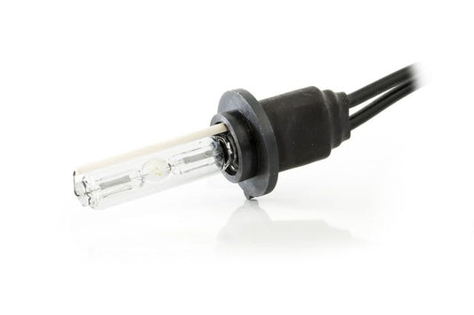 Lumen H6 xenonpærer