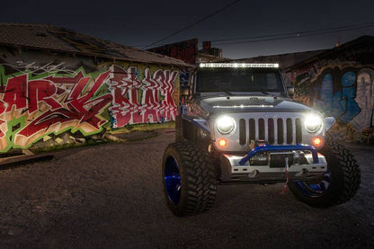 Rigid Radiance PRO 10 LED Fjernlys